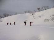 IMG_0956