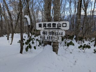 金居原コース分岐