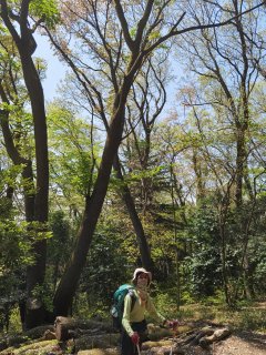 物見山