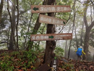 三頭大滝への分岐標識