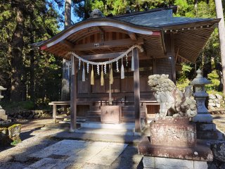 スタート地点の養沢神社