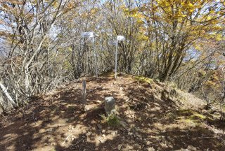 滝子山の二等三角点