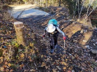 林道終点から登山道へ