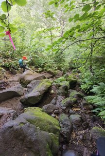 岩ゴロの登山道