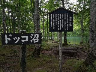 ドッコ沼