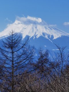 扇山山頂から見た富士山
