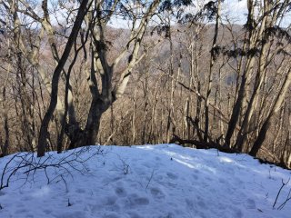 北斜面の下りは雪が多かった