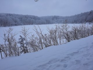 小鳥ヶ池