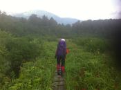 IMG_0050-w1024