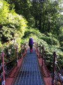 IMG_0053-v1024
