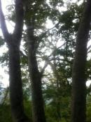 IMG_0086-v1024