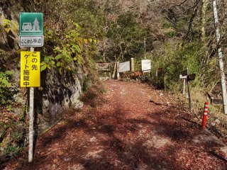 大滝橋バス停からの林道