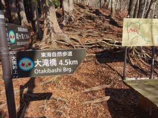 大滝峠上