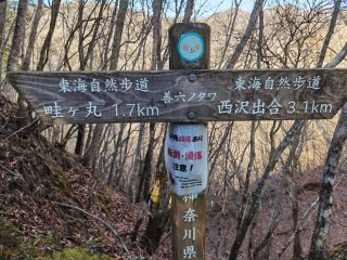 善六のタワ