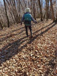 落ち葉の稜線を歩く