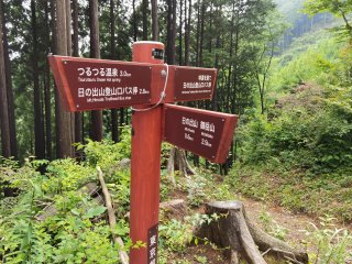 林道コースとの合流点