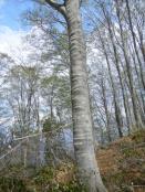 DSCN3074