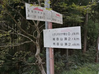 登山道入り口