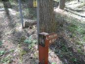 DSCN3179