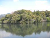 DSCN2359