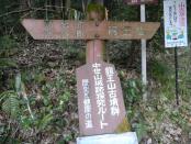 DSCN2364