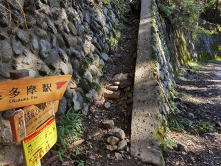この地点で林道から離れ登山道へ