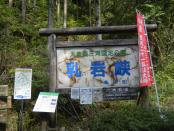 DSCN2952