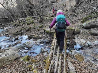 歩くとたわむ木橋