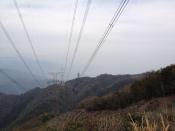 IMG_1793