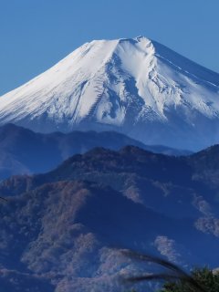 山谷登山口から見た富士山