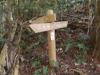 長岳寺奥の院分岐