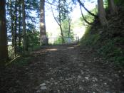 DSCN3398