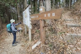 数馬分岐