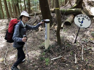 矢下コース分岐