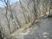 DSCN2933