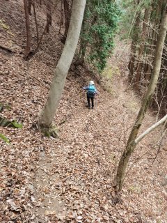 急斜面のトラバース道