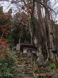 軍刀利神社奥の院