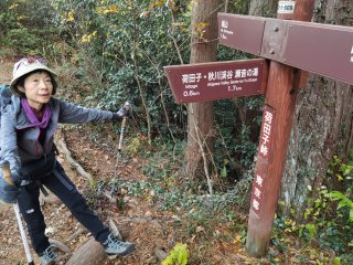 荷田子峠