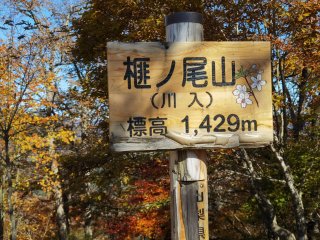 榧ノ尾山山頂
